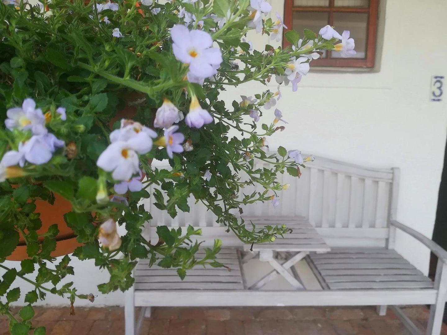 Kaijaiki Country Inn And Restaurant Yzerfontein Δωμάτιο φωτογραφία